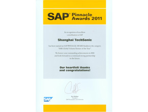 SAP Business One亞太地區(qū)優(yōu)秀合作伙伴